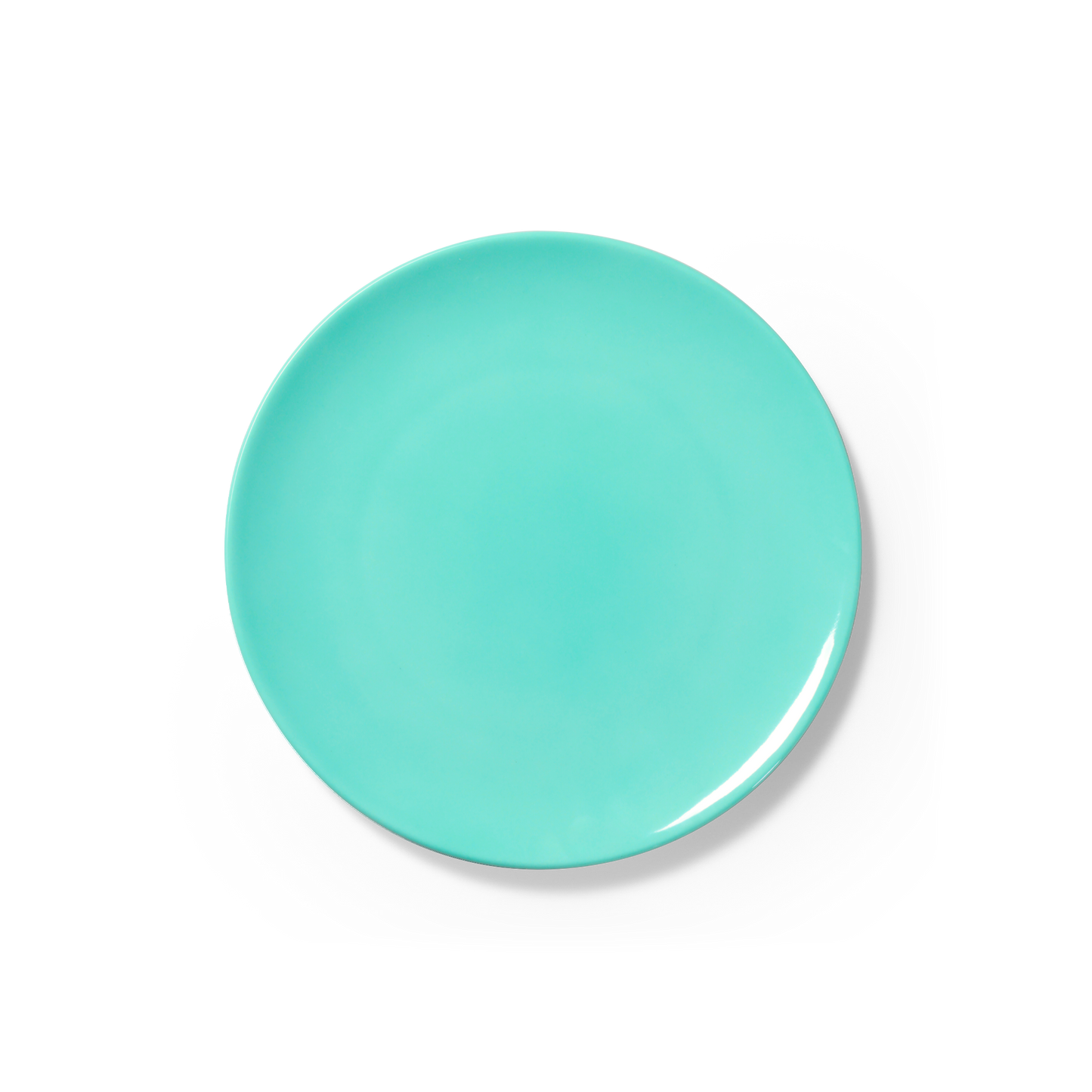 One Color - Plate 9.1in | 23cm (Ø)