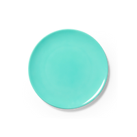 One Color - Plate 9.1in | 23cm (Ø)