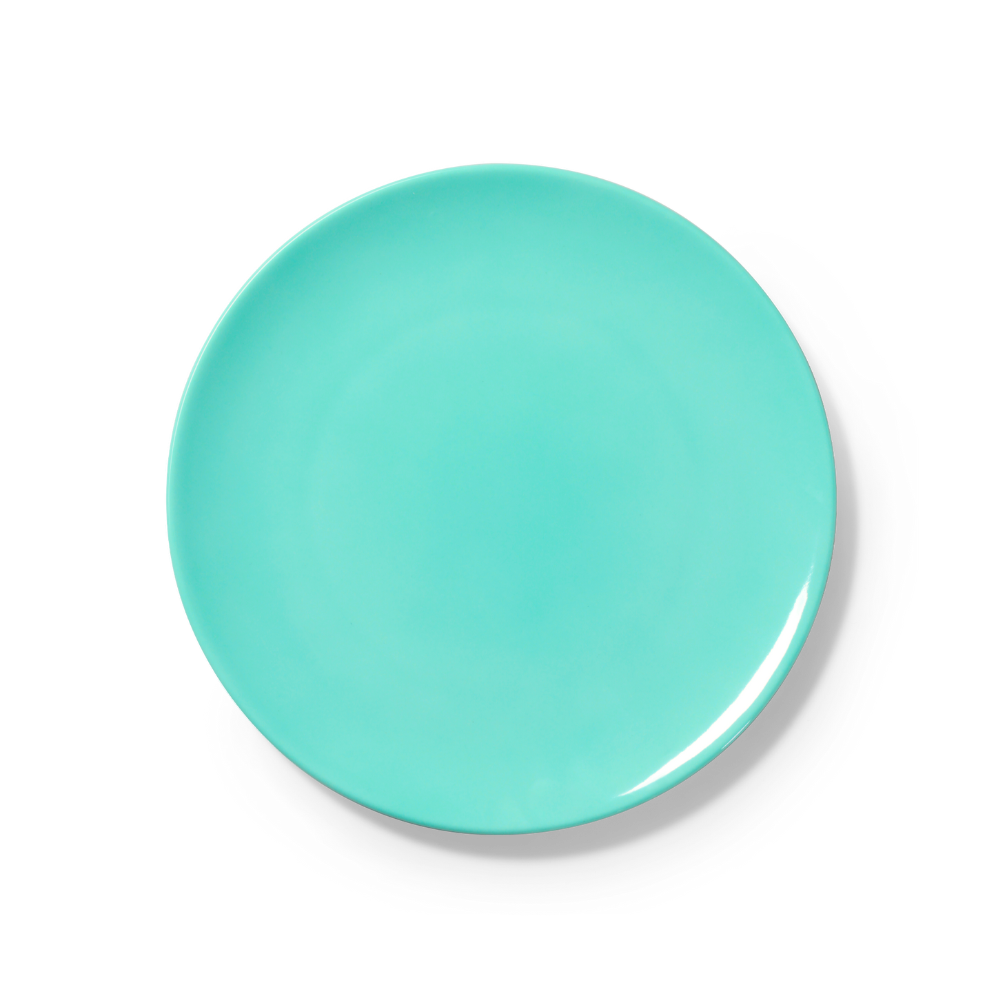 One Color - Plate 10.2in | 26cm (Ø)