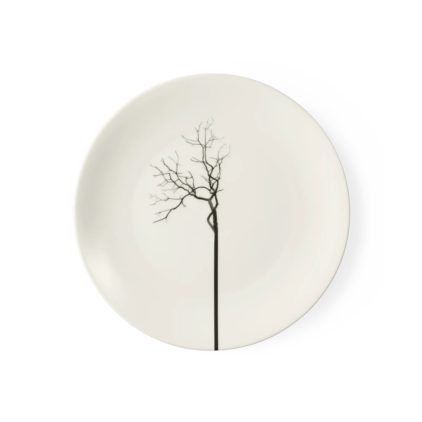 Black Forest - Dinner Plate 10.2in | 26cm (Ø) Dibbern