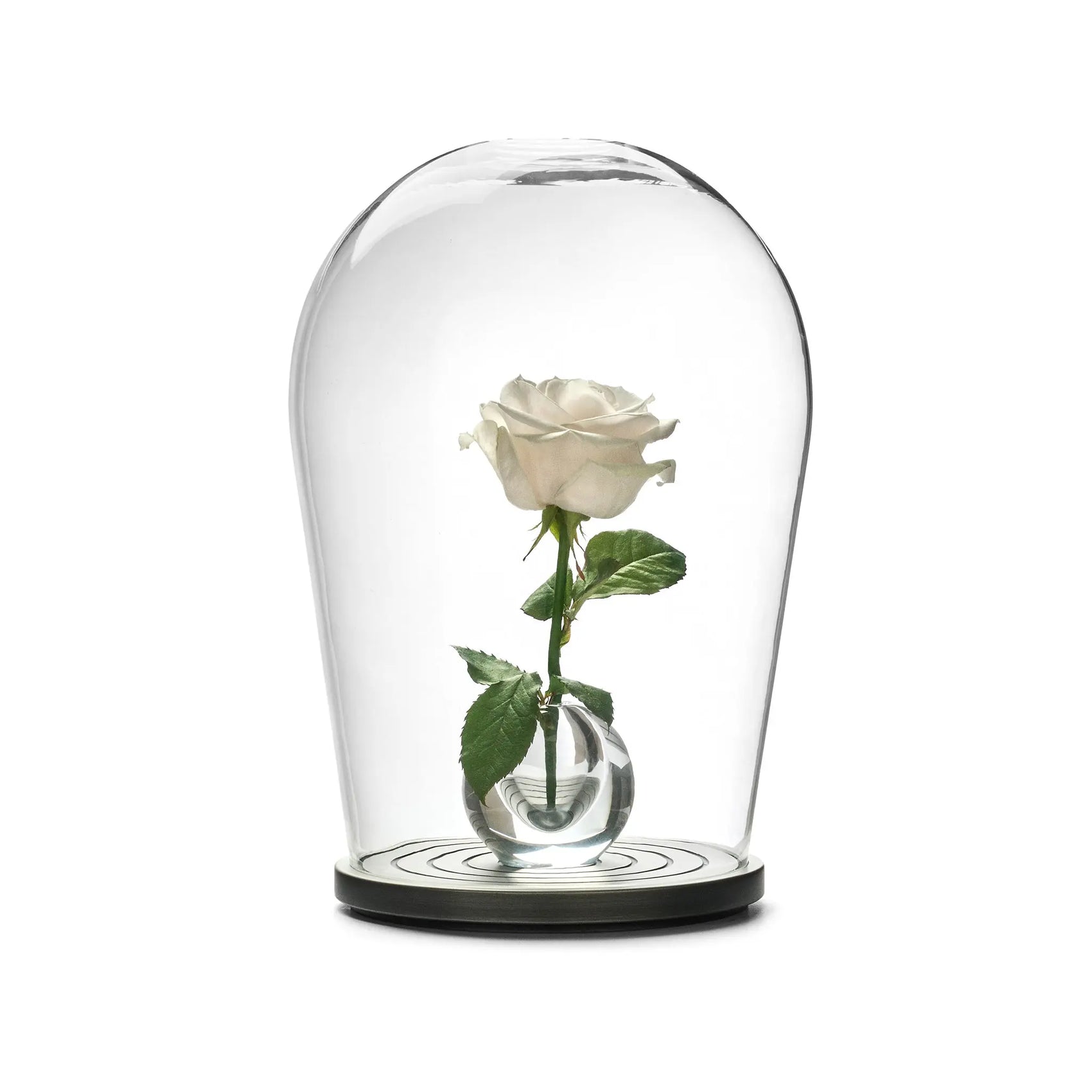 Maximilian Jencquel - Bell Jar When Objects Work