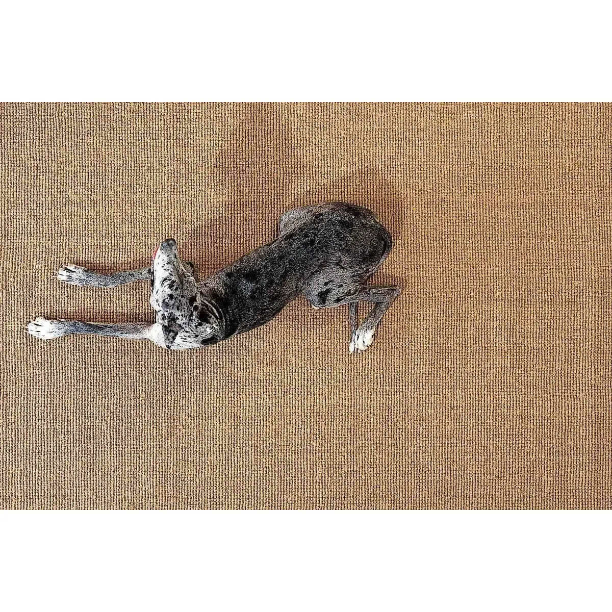 Coconutrug Naturale - Rug GT Design