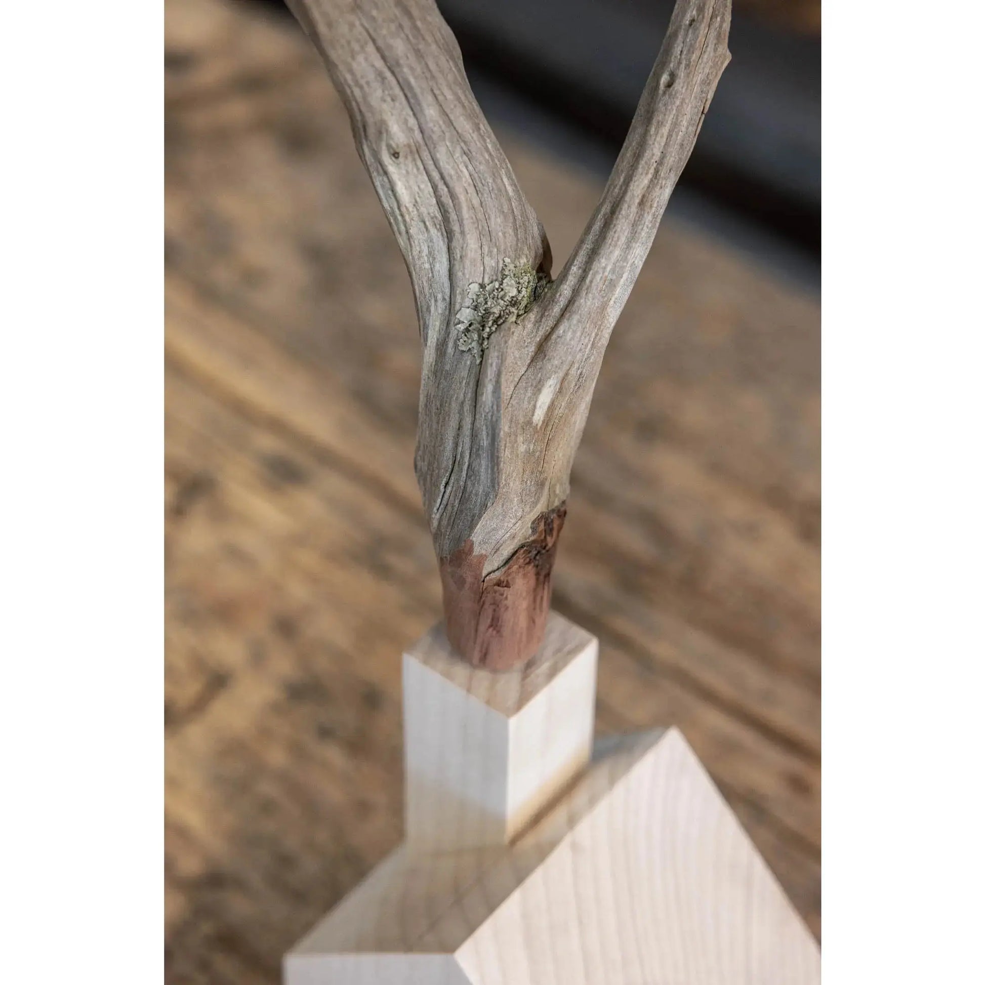 Bauhaus Smokehouse (BW25-04) Bauhaus Woodworks