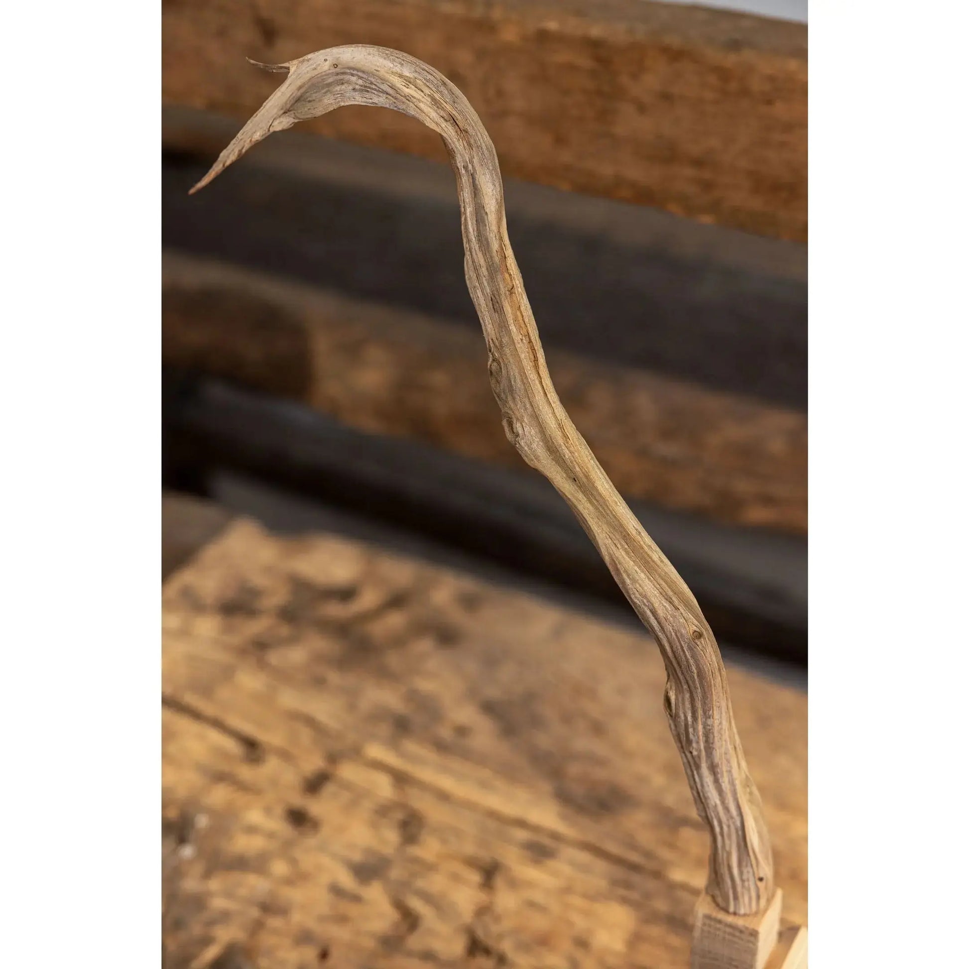 Bauhaus Smokehouse (BW25-05) Bauhaus Woodworks