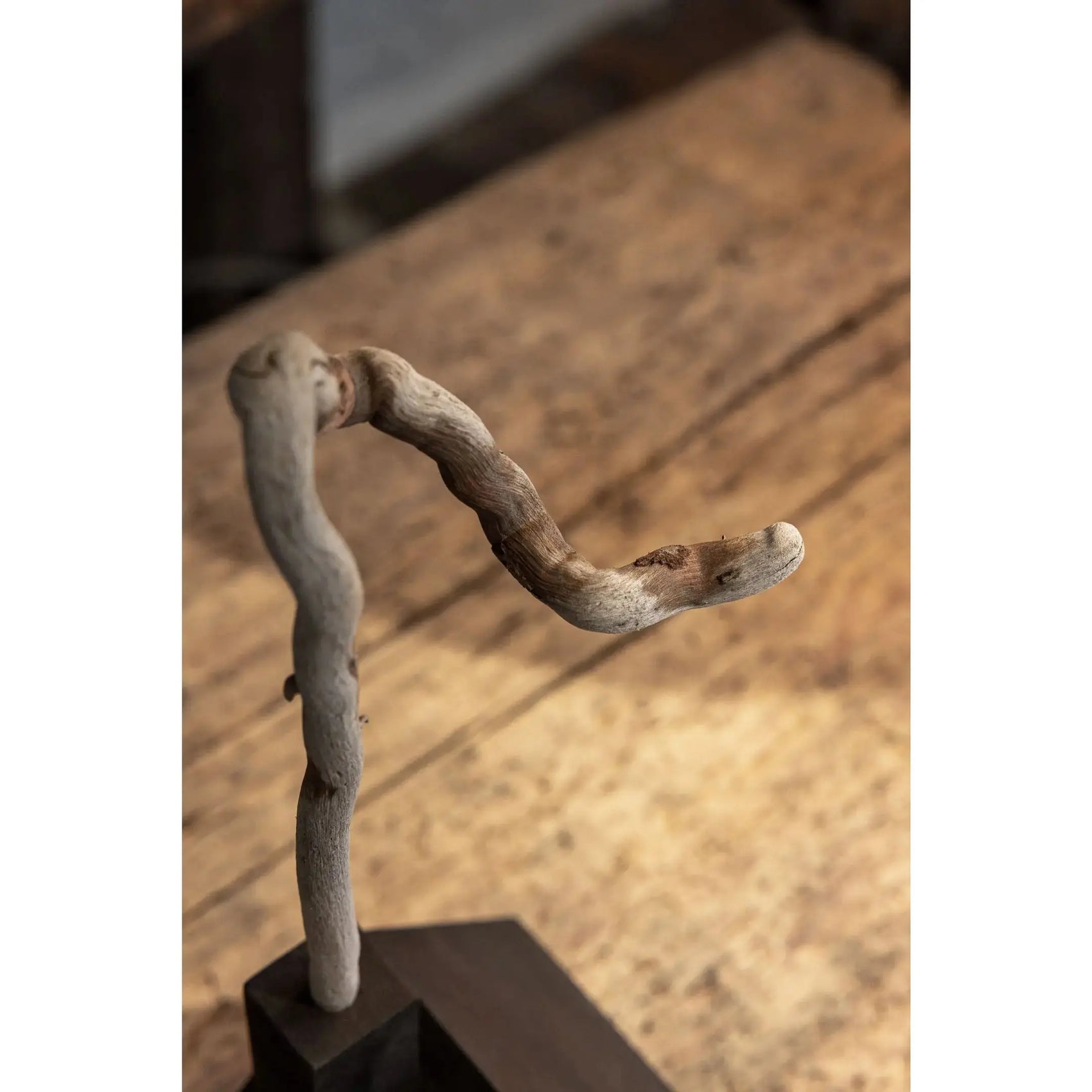 Bauhaus Smokehouse (BW25-06) Bauhaus Woodworks