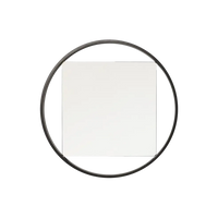 Benno Mirror by Benno Premsela