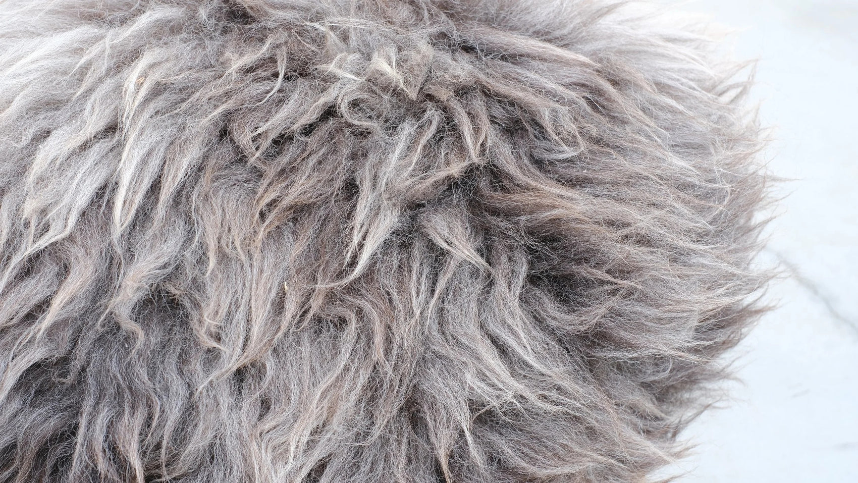 Close-up view of soft, textured sheep wool used in the Senufo Ottoman design by Arno DeClercq.