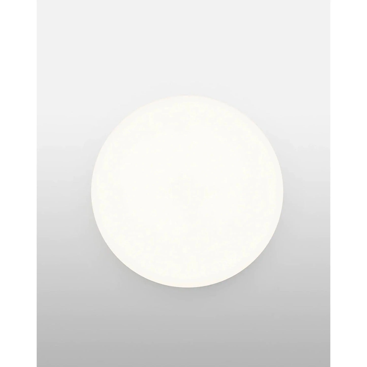 Clara Wall and Ceiling Dimmable LED Lamp | Flos | JANGEORGe Interior Design