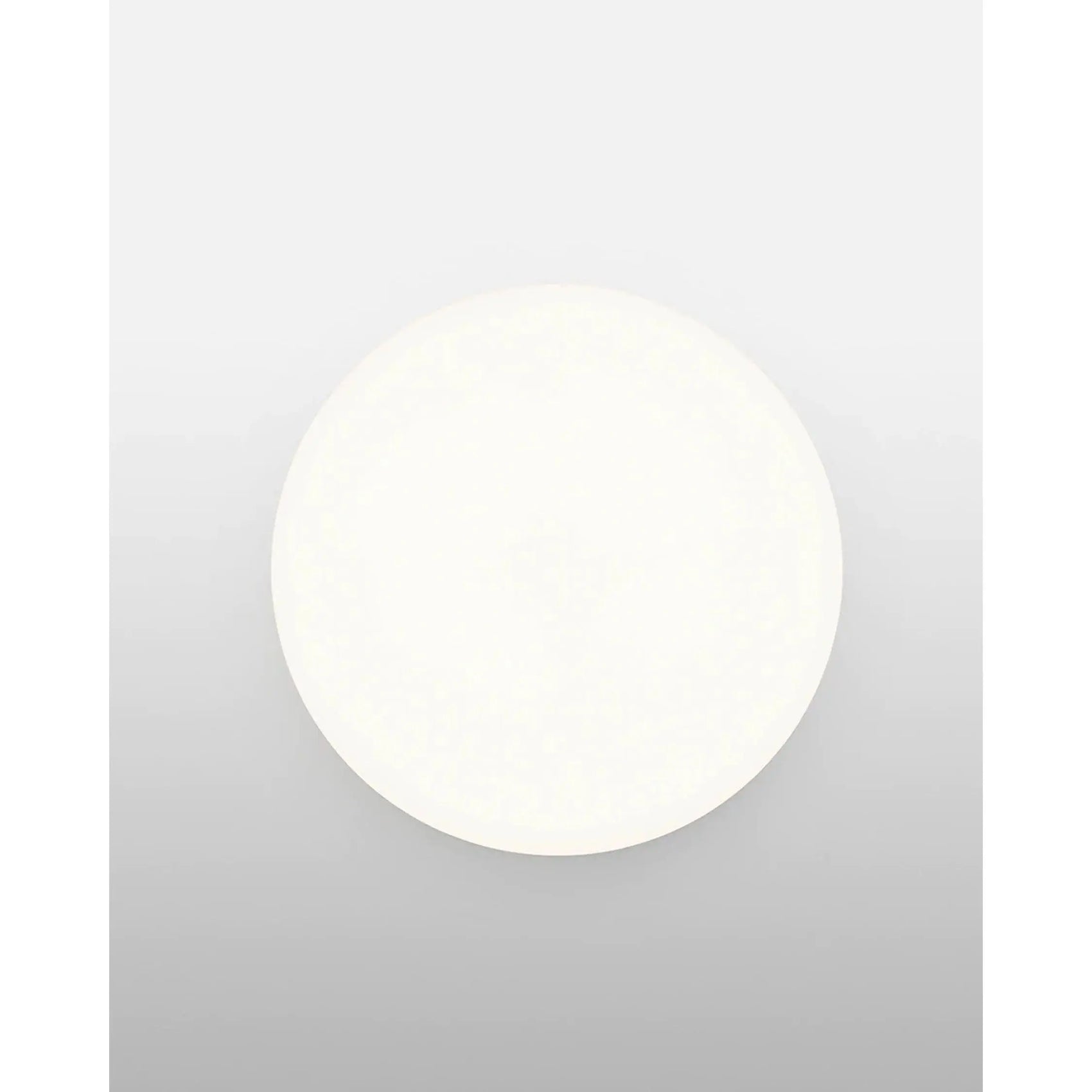 Clara Wall and Ceiling Dimmable LED Lamp | Flos | JANGEORGe Interior Design