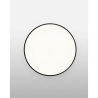 Clara Wall and Ceiling Dimmable LED Lamp | Flos | JANGEORGe Interior Design