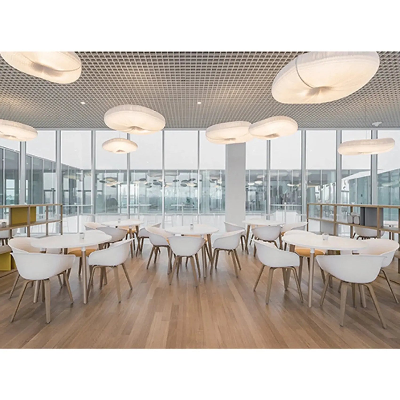 Duna 02 - 4 Wood Legs Chair | Arper | JANGEORGe Interior Design