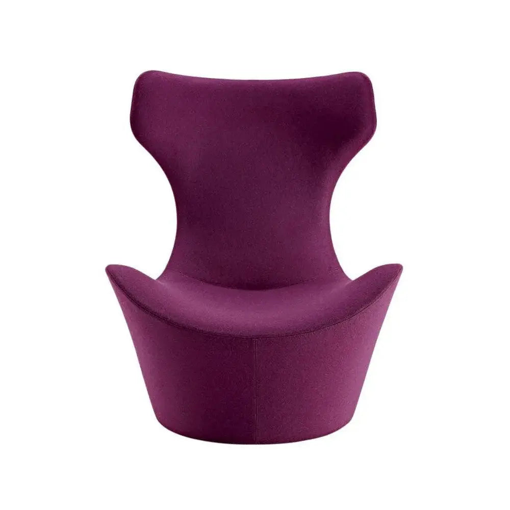 Grande Papilio Armchair | B&B Italia | JANGEORGe Interior Design