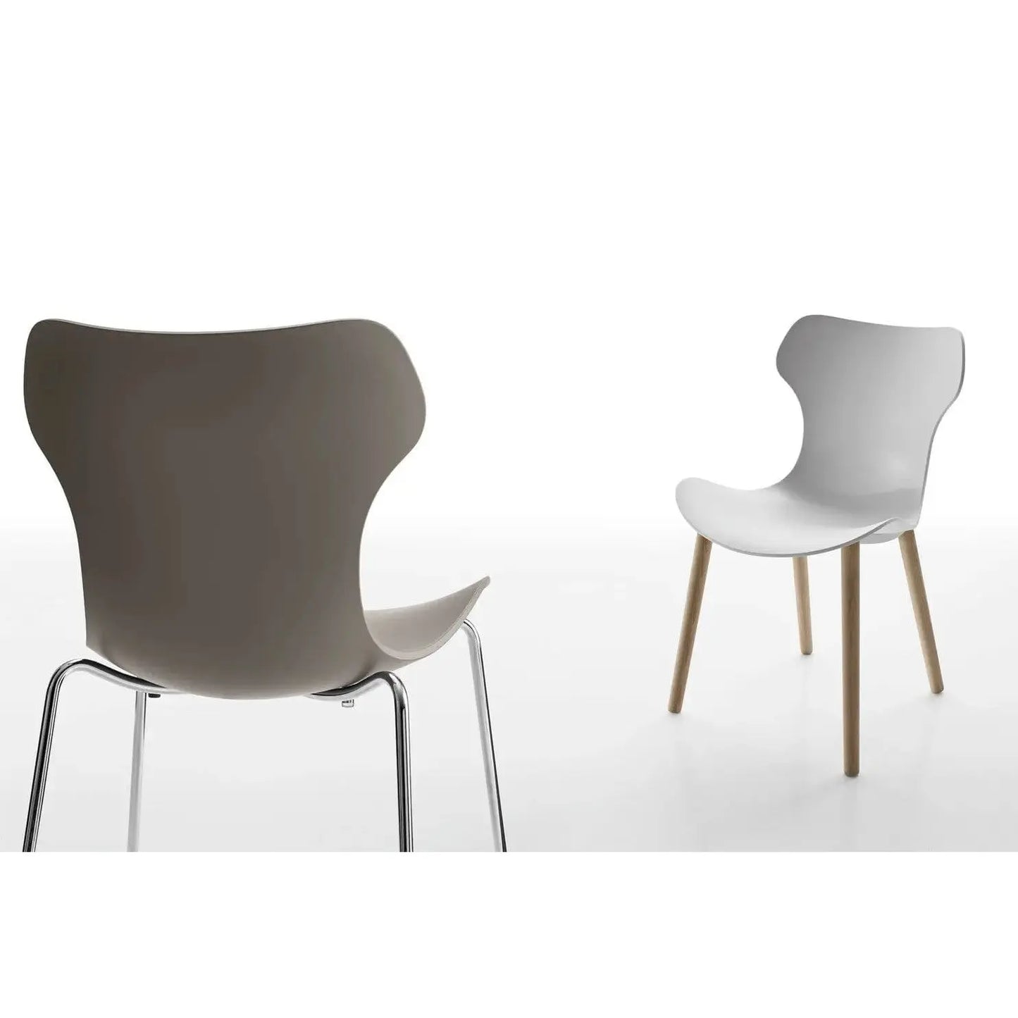 Papilio Shell Chair | B&B Italia | JANGEORGe Interior Design