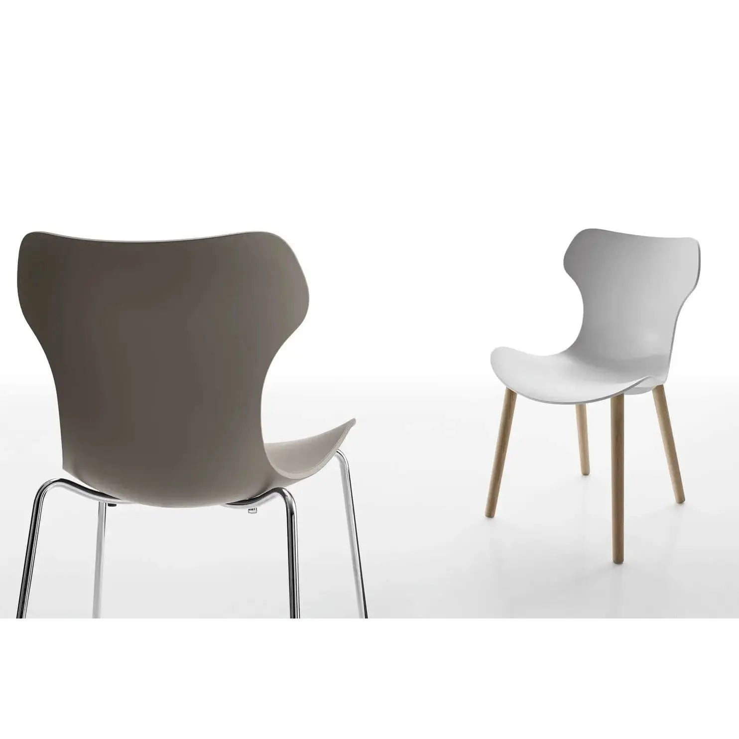 Papilio Shell Chair | B&B Italia | JANGEORGe Interior Design