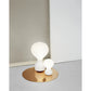 Gatto Piccolo Table Lamp Cocoon Exterior | Flos | JANGEORGe Interior Design
