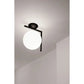 IC Lights Ceiling / Wall Lamp | Flos | JANGEORGe Interior Design