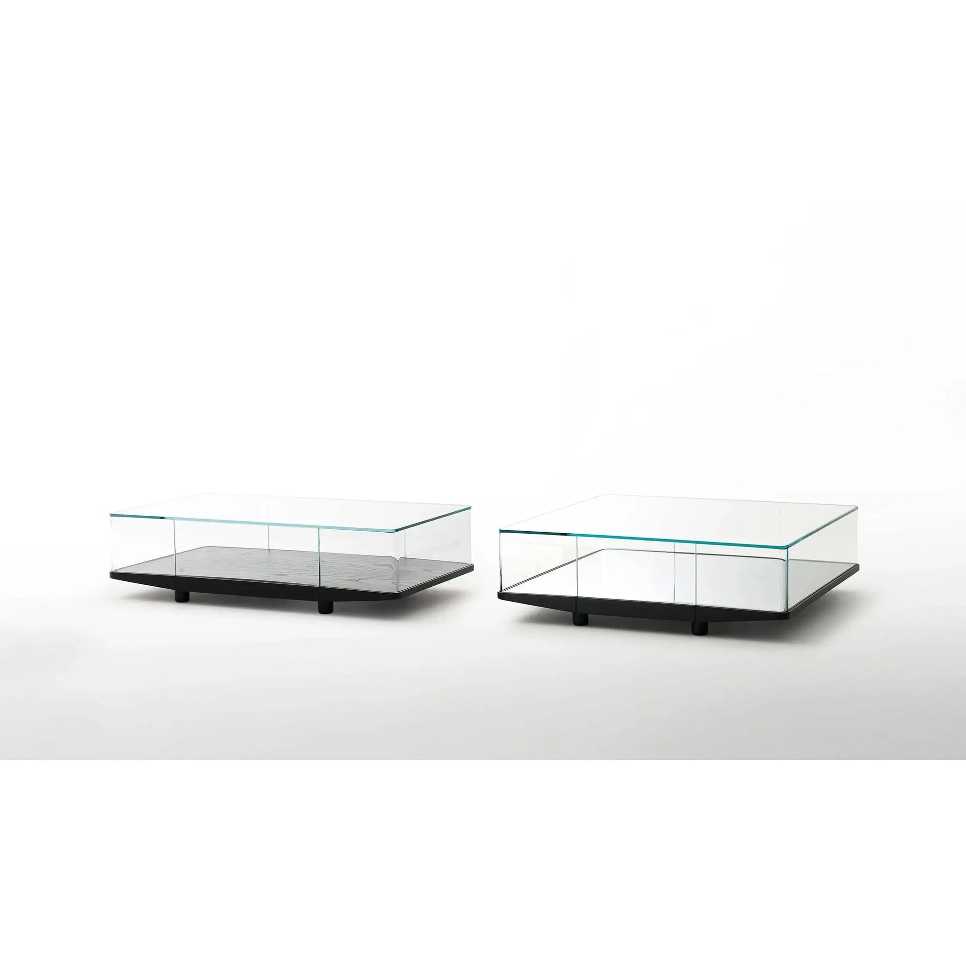 Collector Low Glass Table | Glas Italia | JANGEORGe Interior Design