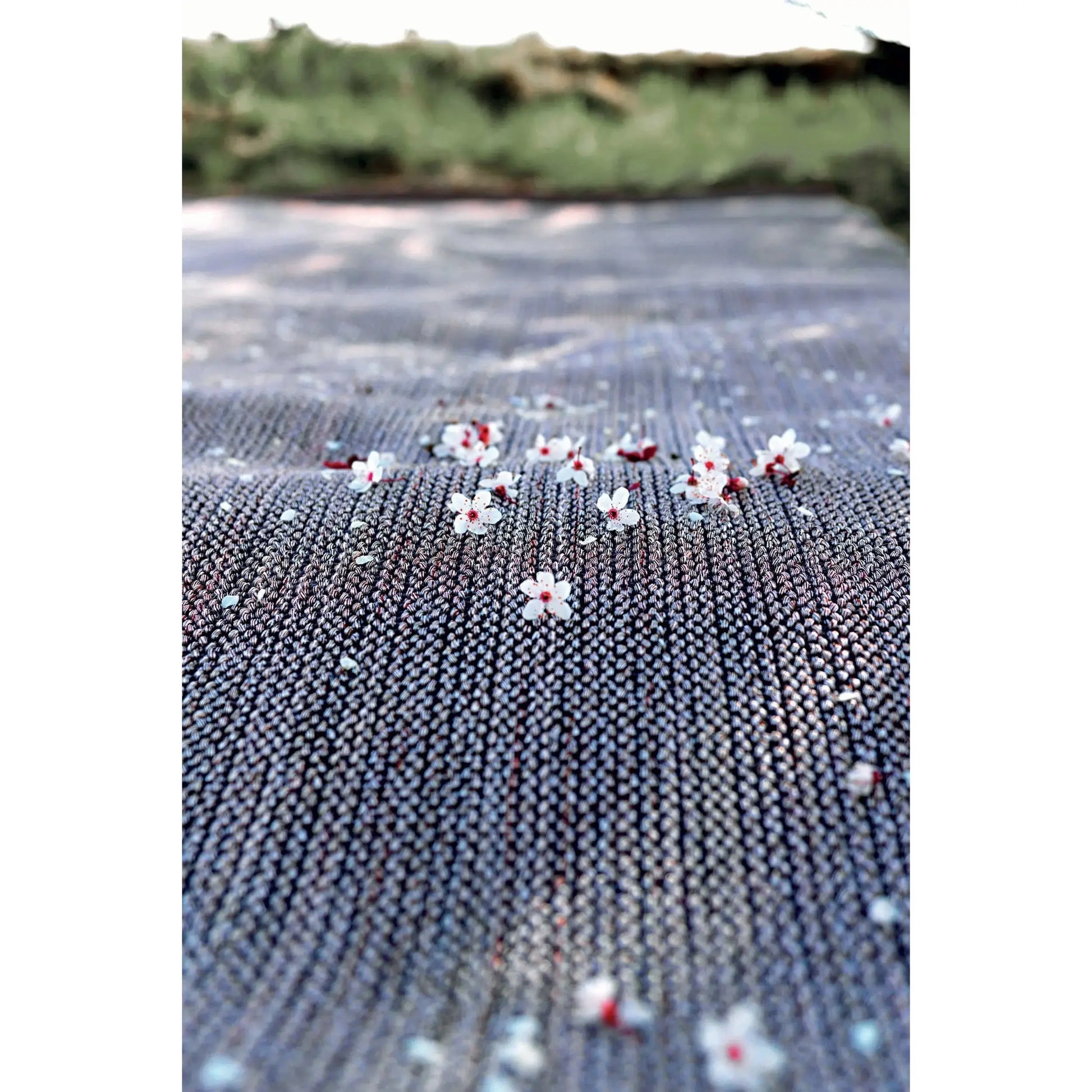 Paglietta Rug | GT Design | JANGEORGe Interior Design