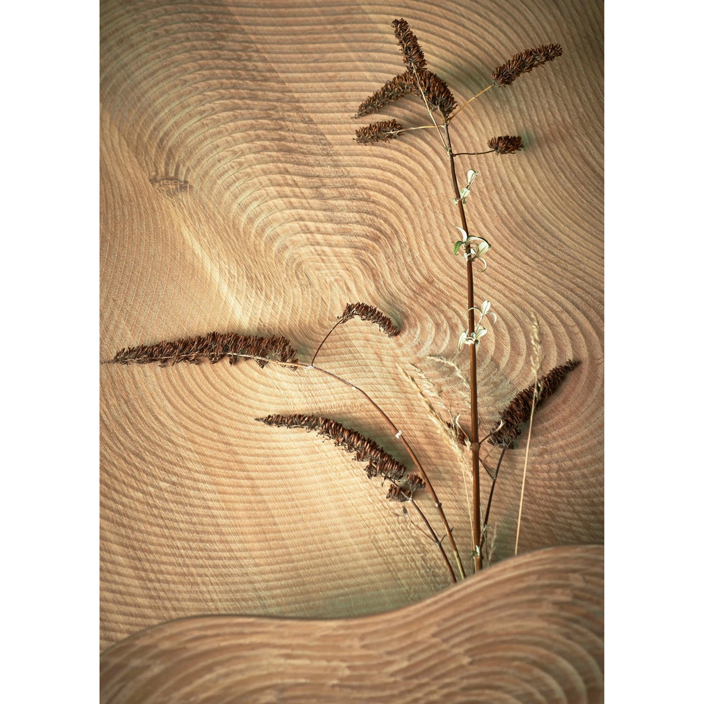 Isola Coffee Table | Linteloo | JANGEORGe Interior Design