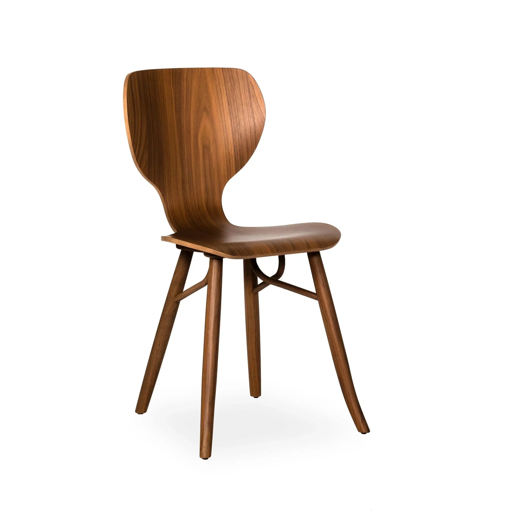 Tulipani - Dining Chair | Linteloo | JANGEORGe Interior Design