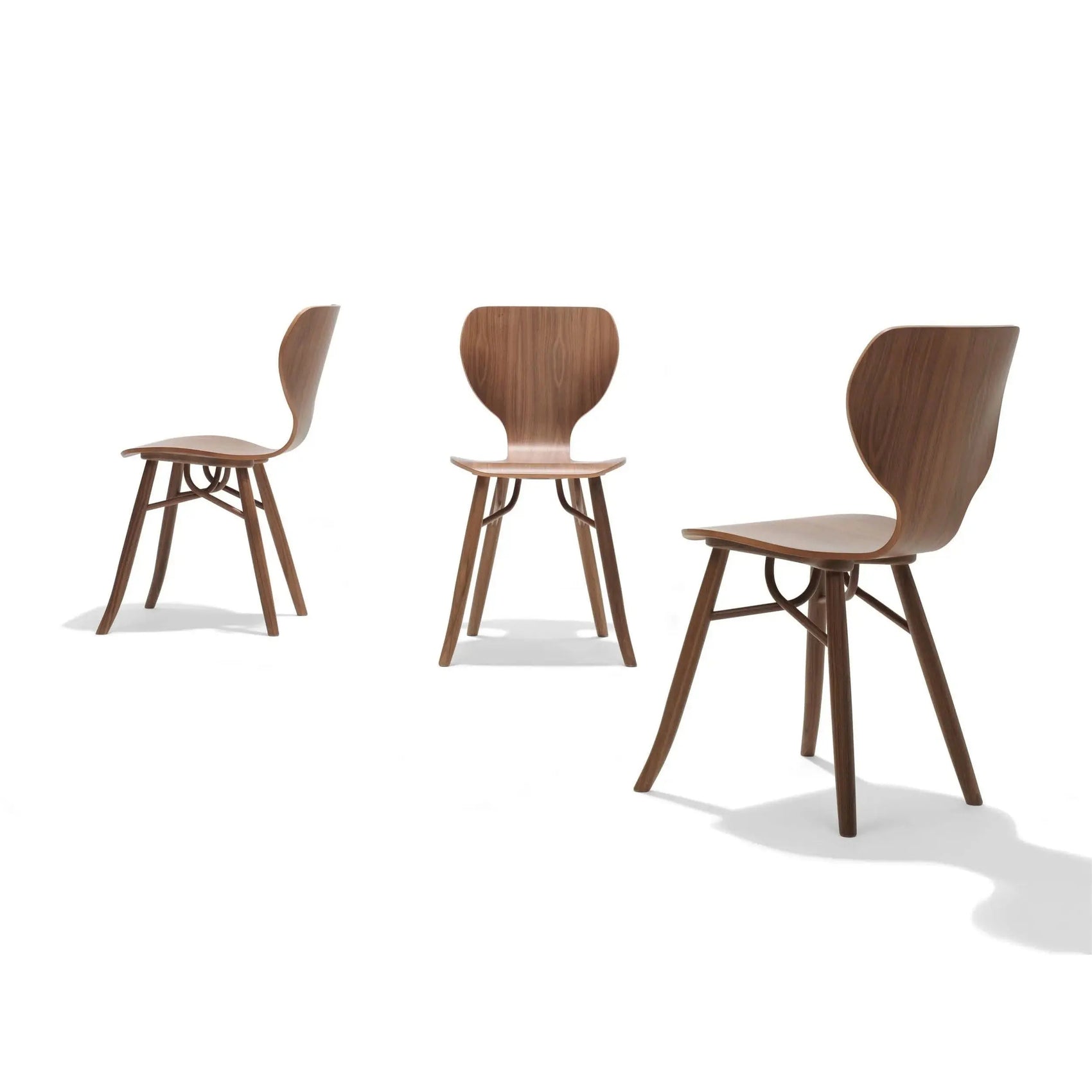 Tulipani - Dining Chair | Linteloo | JANGEORGe Interior Design