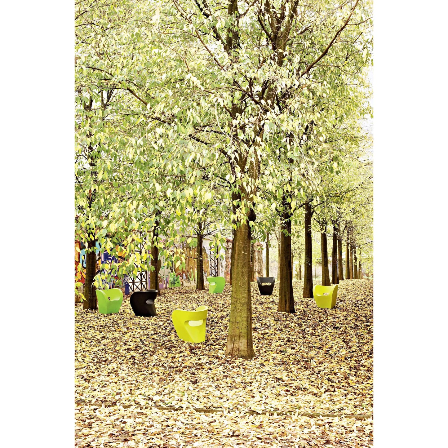 Little Albert Small Armchair | Moroso | JANGEORGe Interior Design