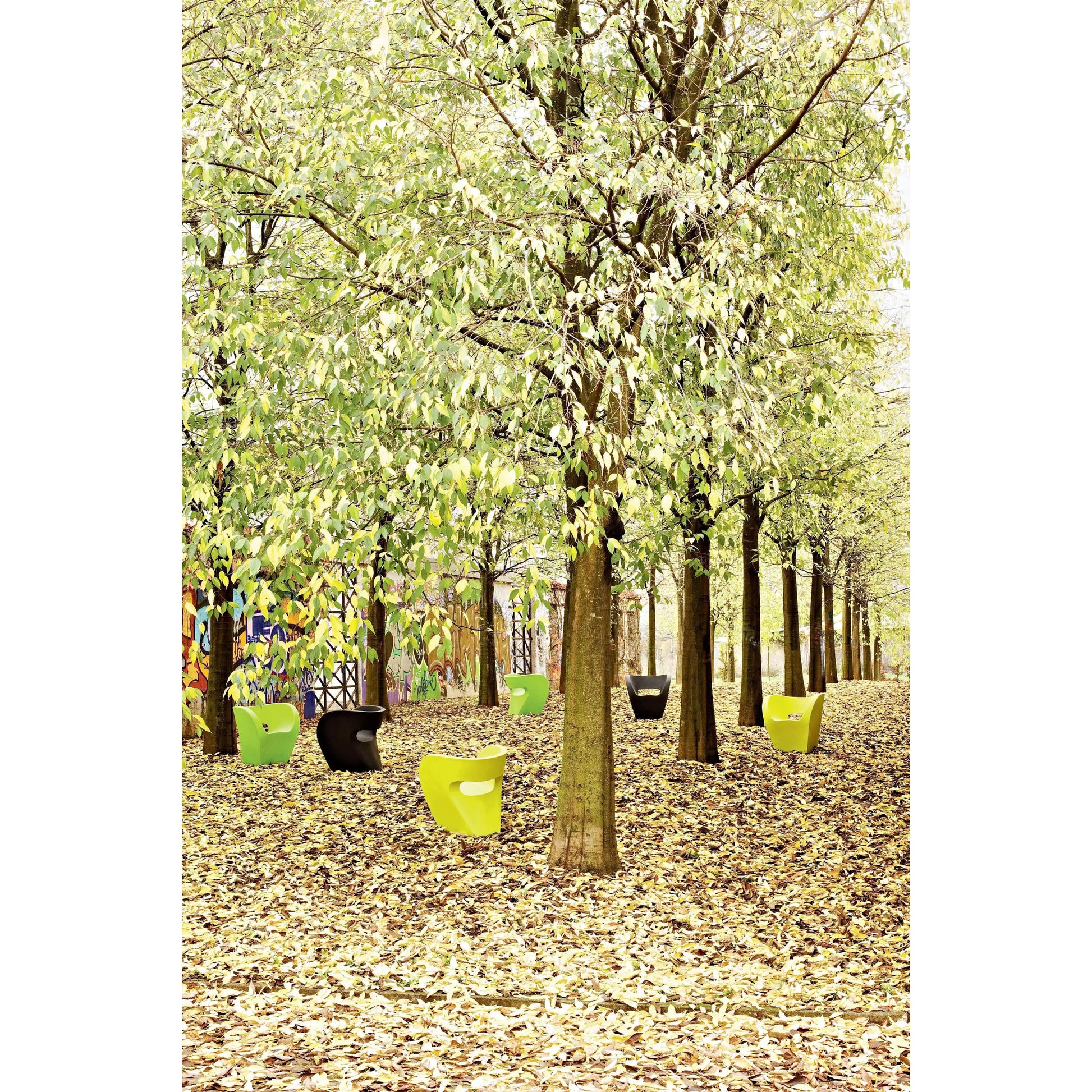 Little Albert Small Armchair | Moroso | JANGEORGe Interior Design