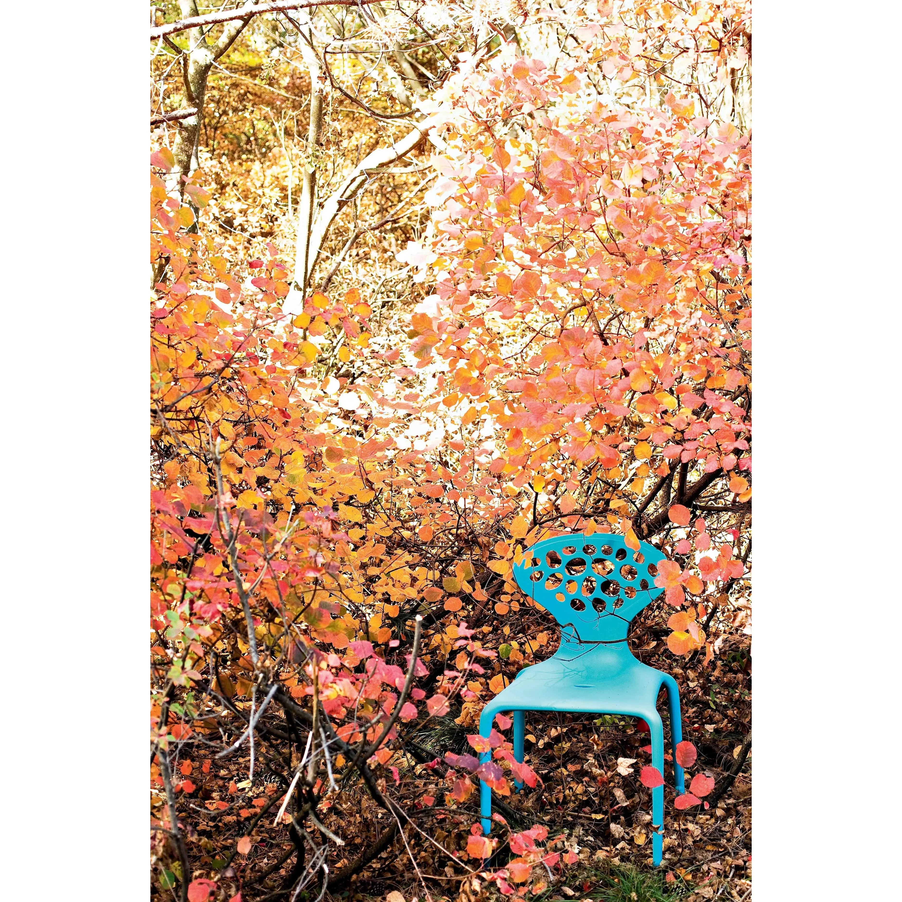 Supernatural - Chair - JANGEORGe Interiors & Furniture – JANGEORGe