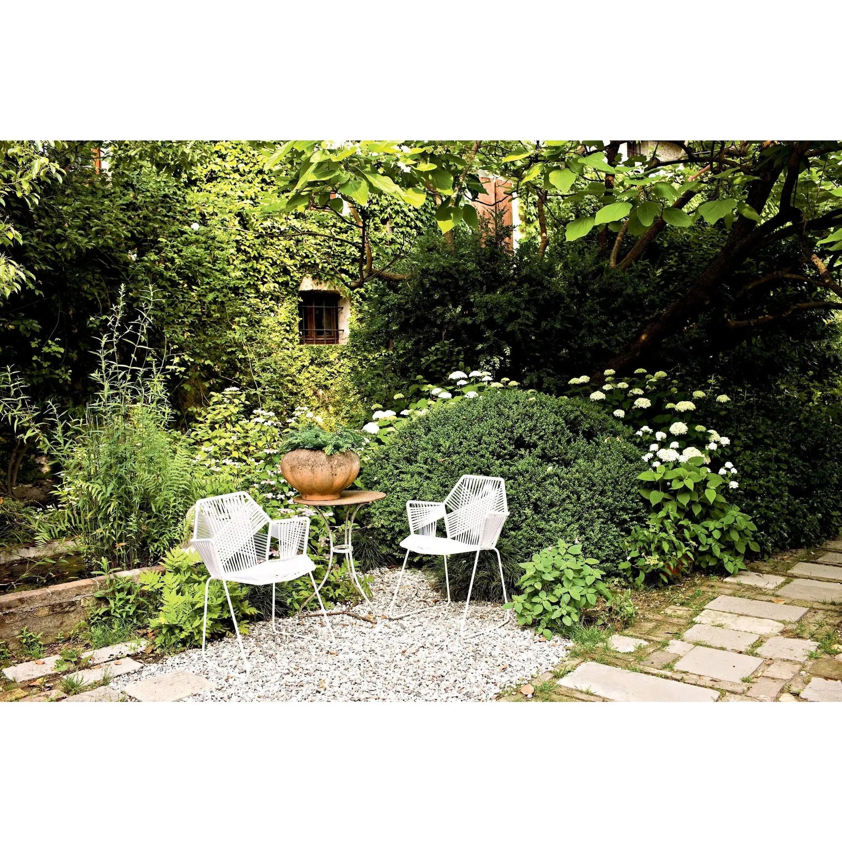 Tropicalia Chair | Moroso | JANGEORGe Interior Design