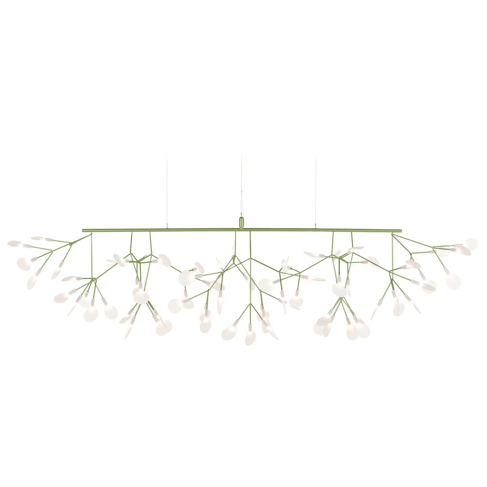 Heracleum III Linear - JANGEORGe Interiors & Furniture