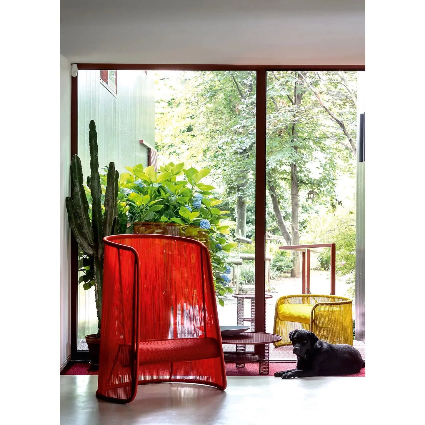 JANGEORGe Interiors & Furniture Moroso Husk Outdoor Armchair