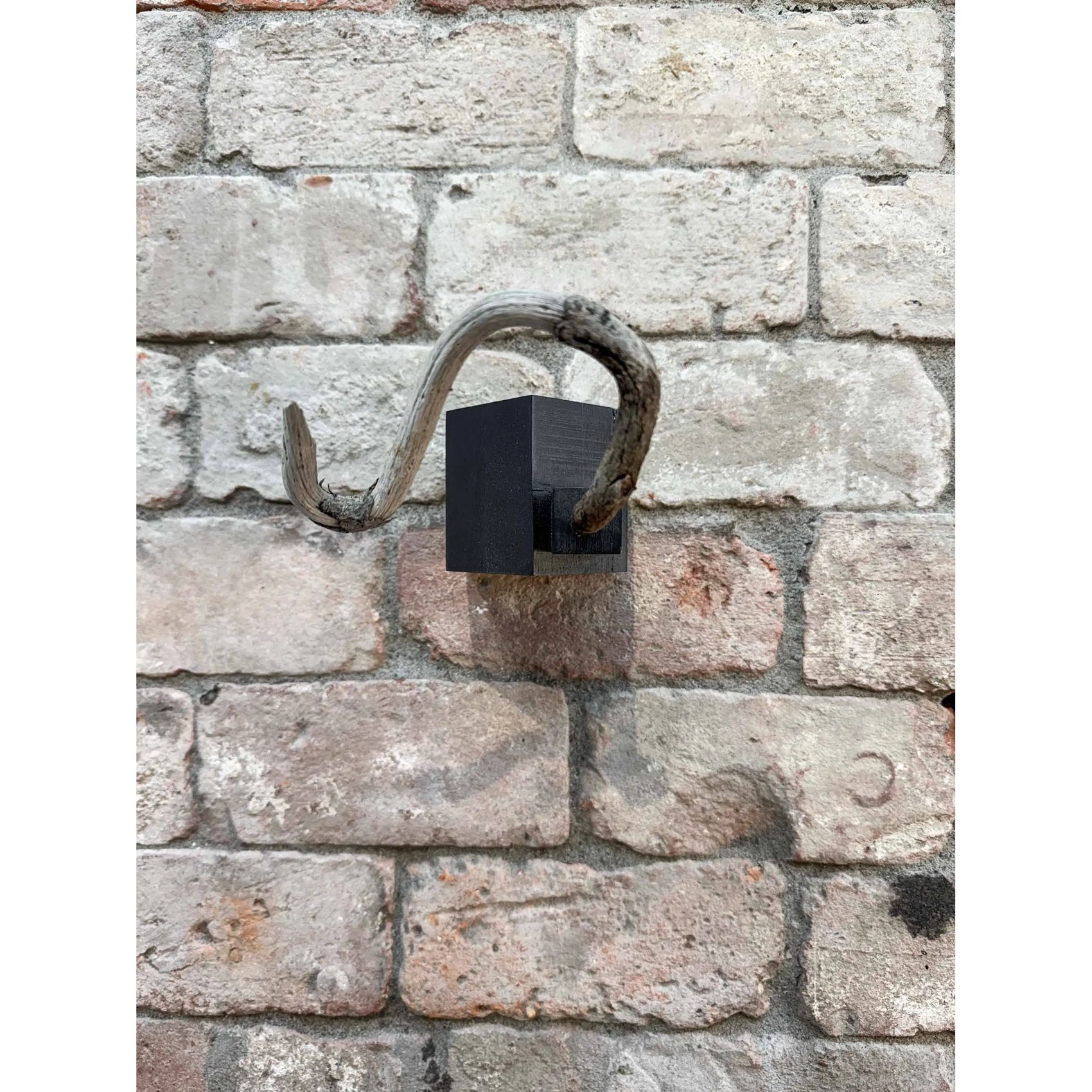 Bauhaus Smokehouse (BW24-03) Bauhaus Woodworks