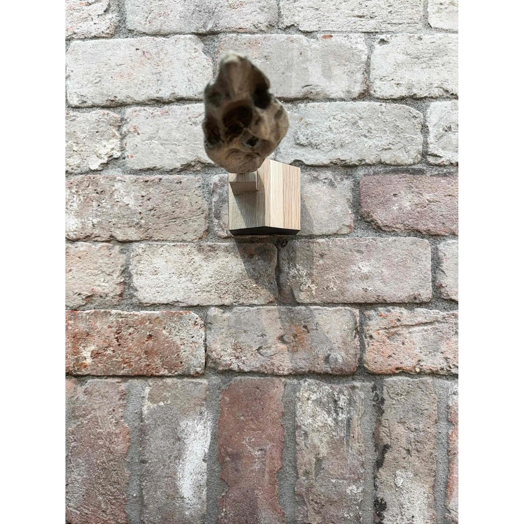 Bauhaus Smokehouse (BW24-05) Bauhaus Woodworks