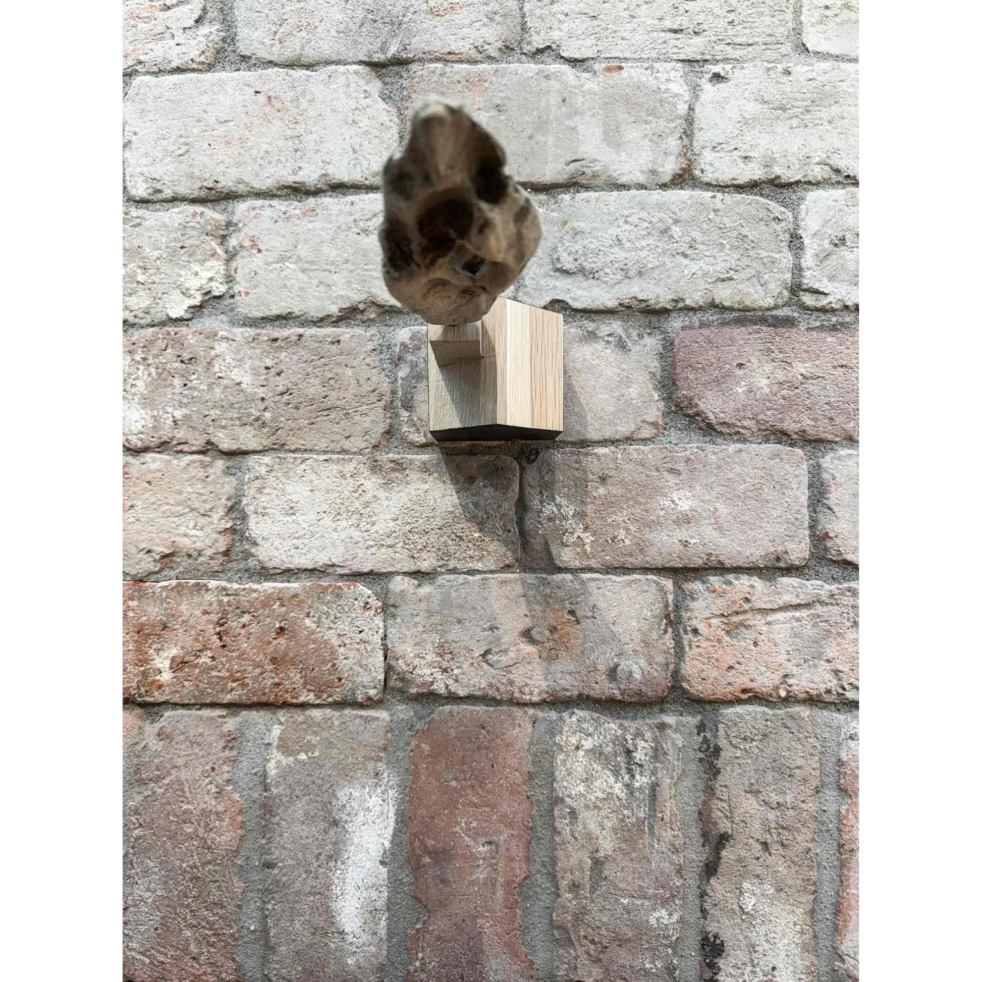 Bauhaus Smokehouse (BW24-05) Bauhaus Woodworks