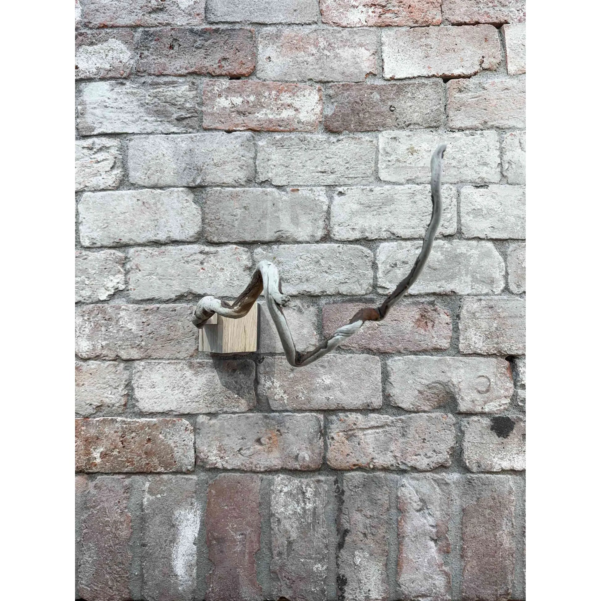 Bauhaus Smokehouse (BW24-06) Bauhaus Woodworks