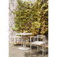 Ringer - Dining Armchair Kettal