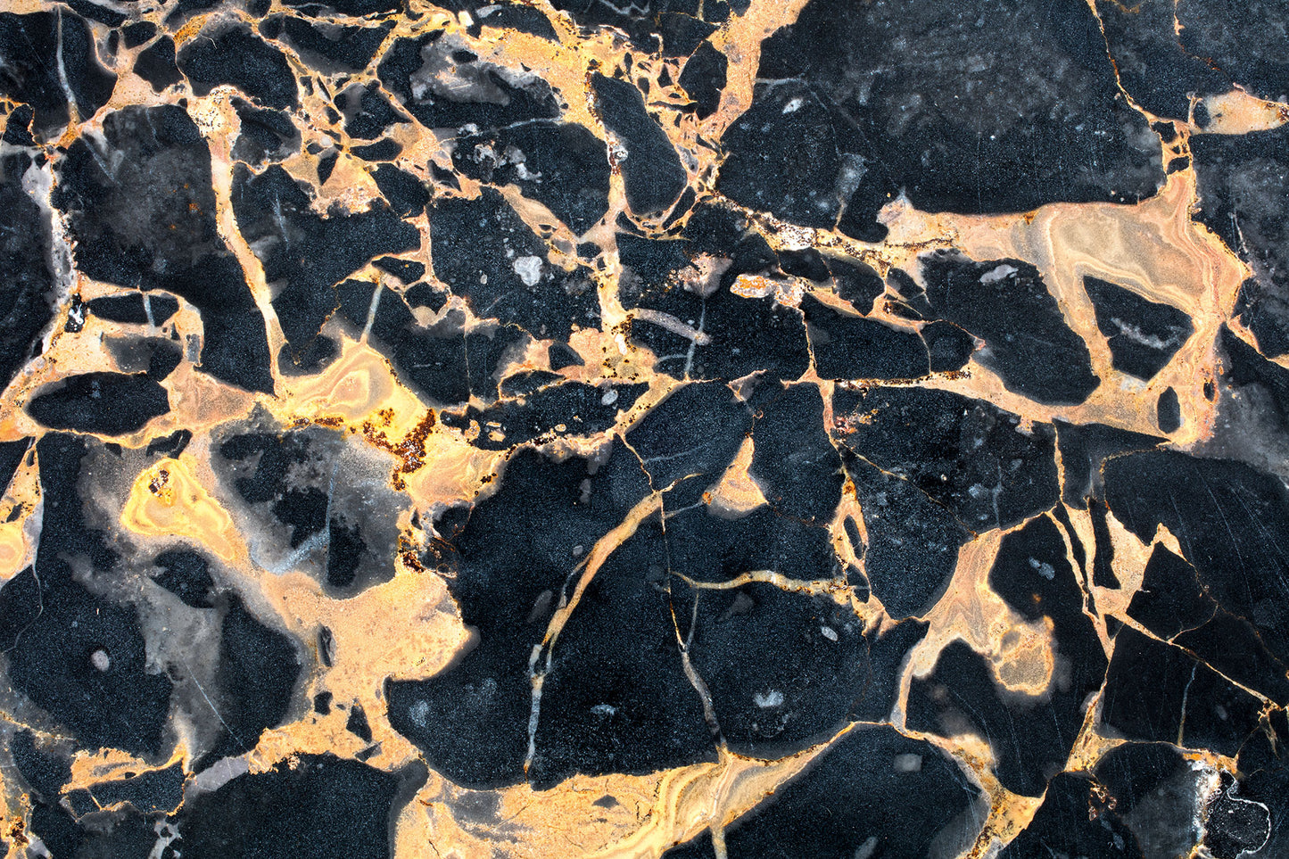 Amaltea - Centerpiece