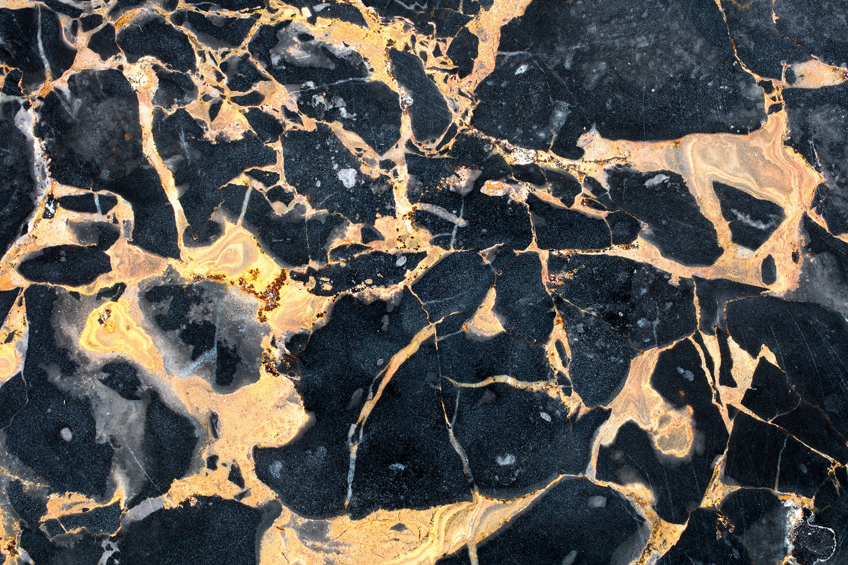 Amaltea - Centerpiece