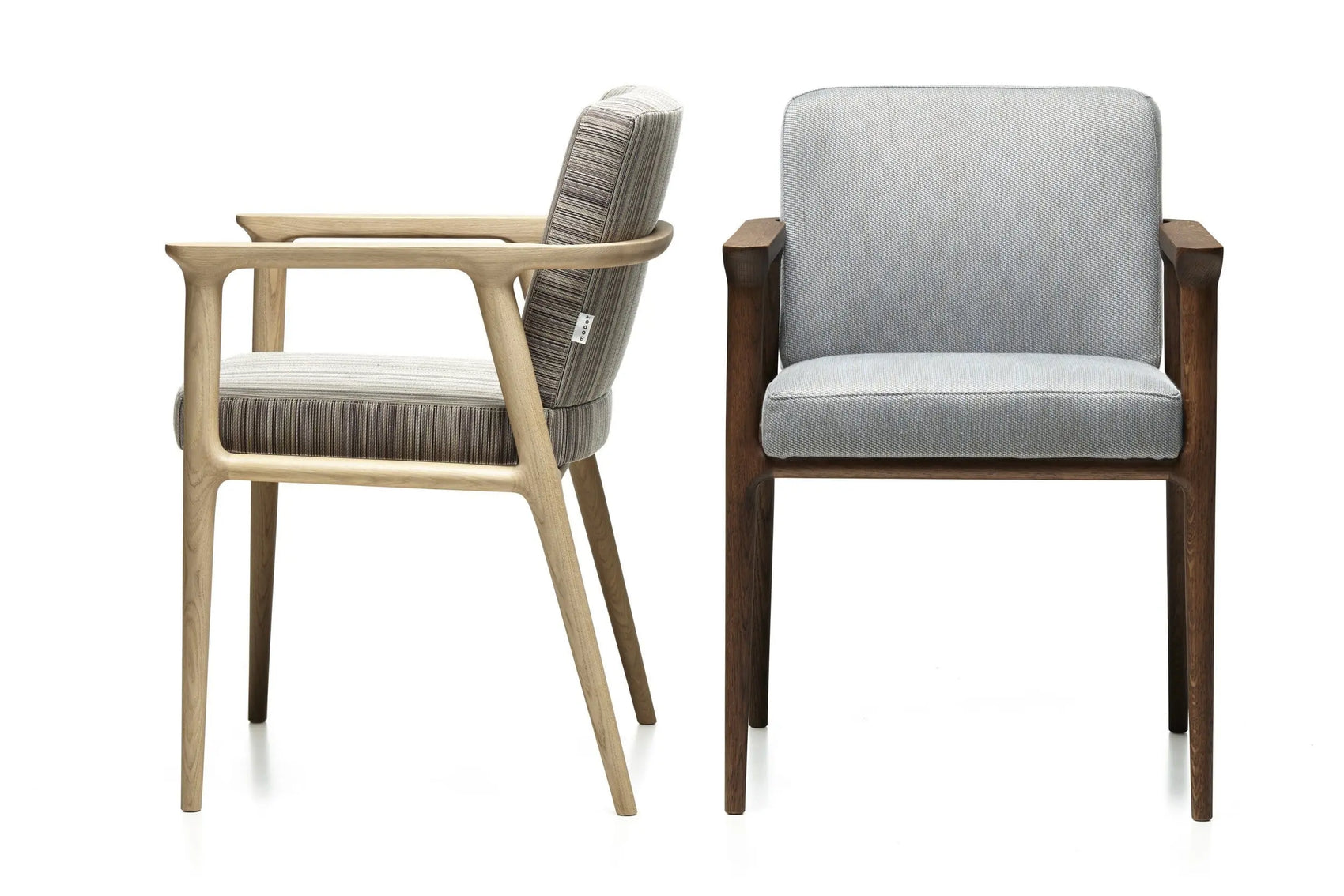 Zio Dining Chair | Moooi | JANGEORGe Interior Design