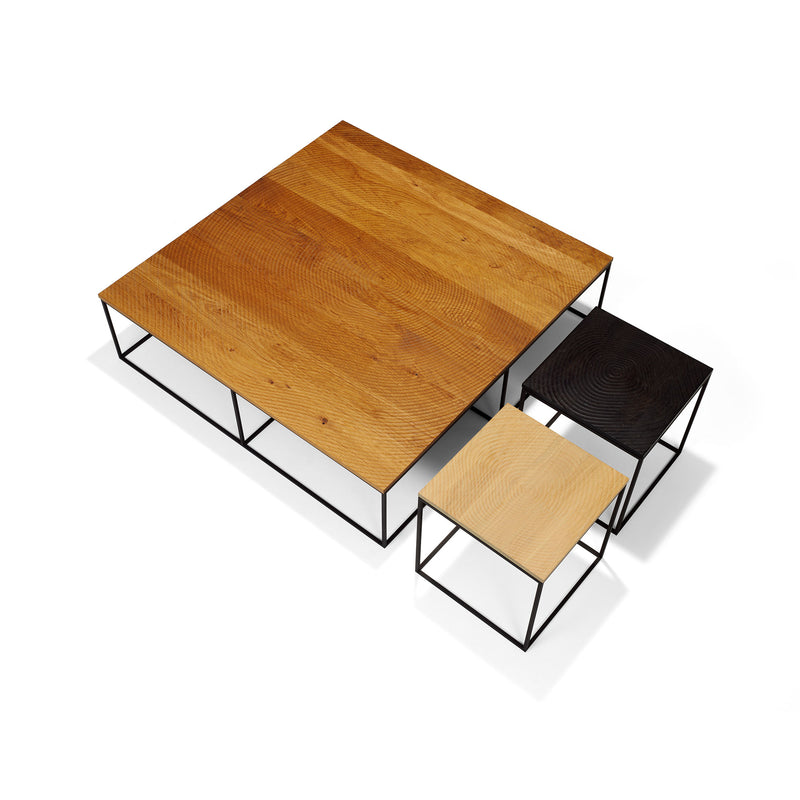 JANGEORGe Interiors & Furniture Linteloo Log Coffee Table